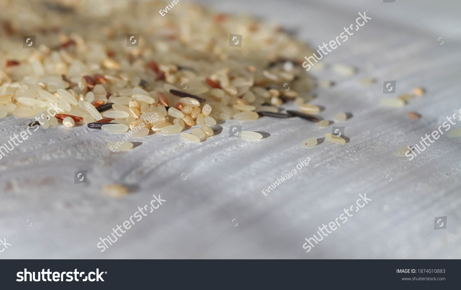 A pile of unboiled fresh rice of various varieties is scattered on the white table. Copy space. #1874010883