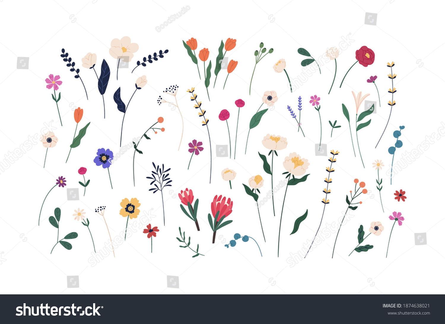 Floral set of beautiful blooming wildflowers and leaves. Botanical collection of cut meadow and garden flowers isolated on white. Elegant spring plants for floristry. Flat vector cartoon illustration #1874638021