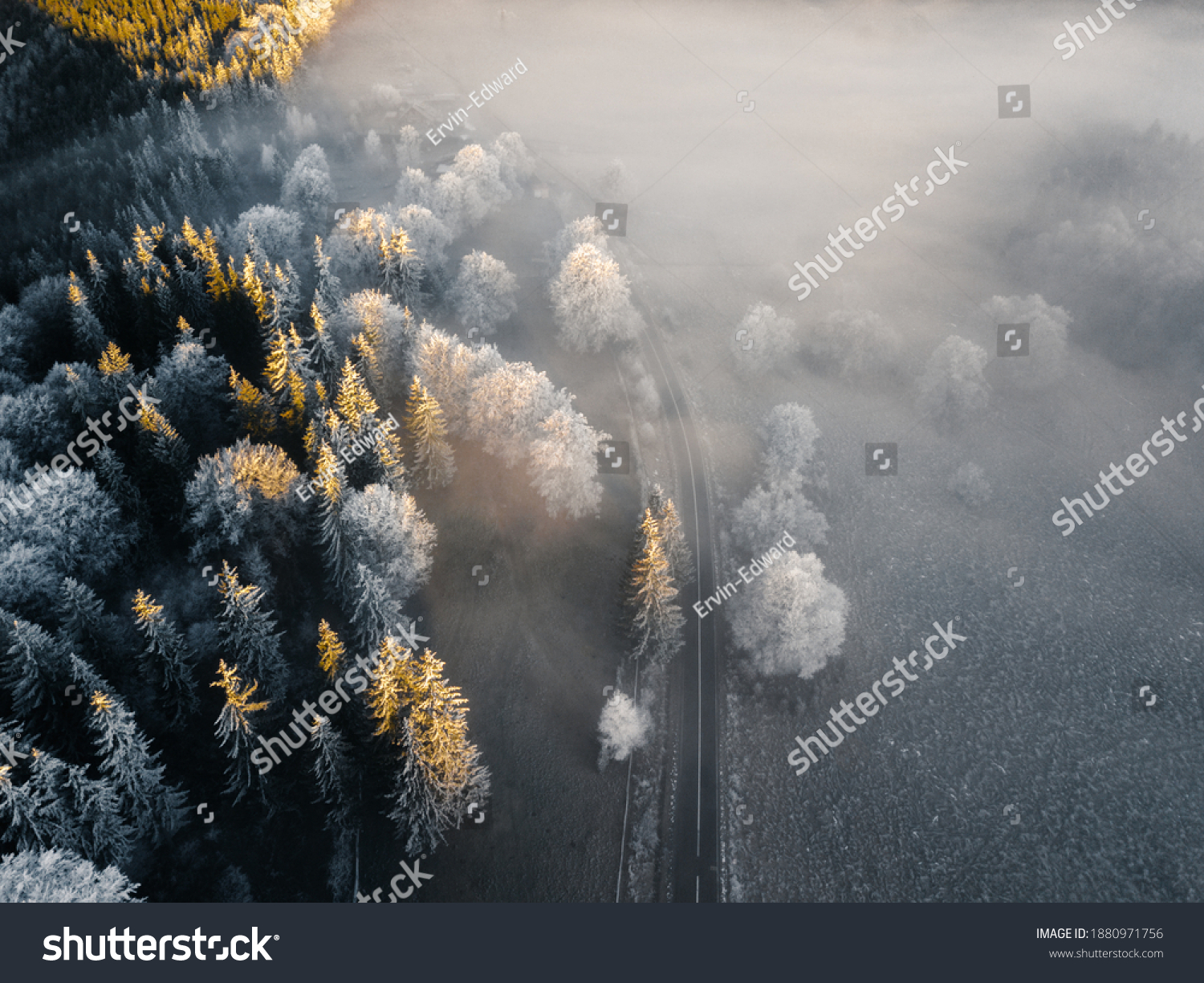 Wonderful foggy nature landscape. Frosty trees illuminated by the first light at early morning in the wilderness. Asphalt road through the forest. Winter bakground. Aerial view. #1880971756