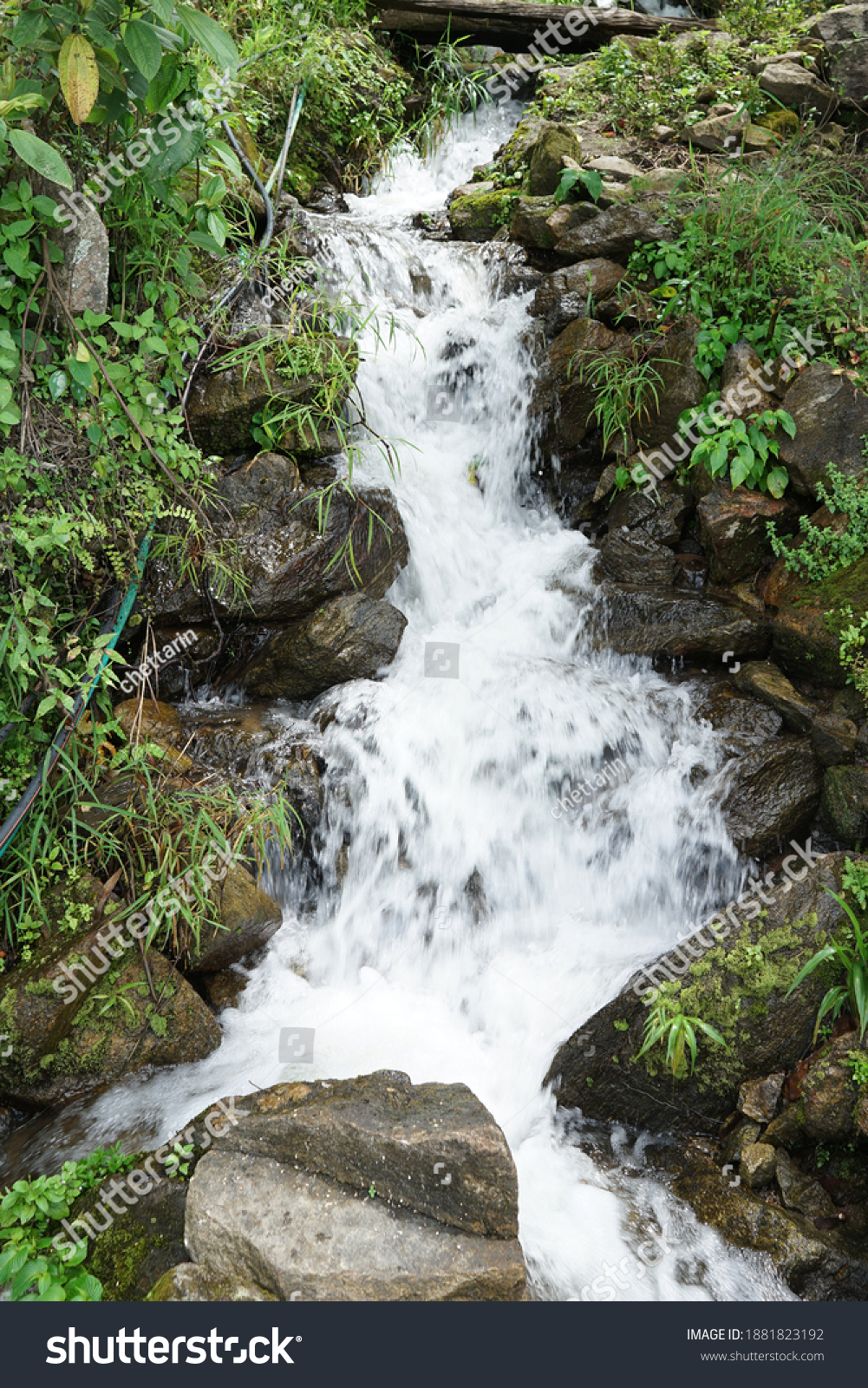 Spring waterfall cascade creek in green grass park #1881823192
