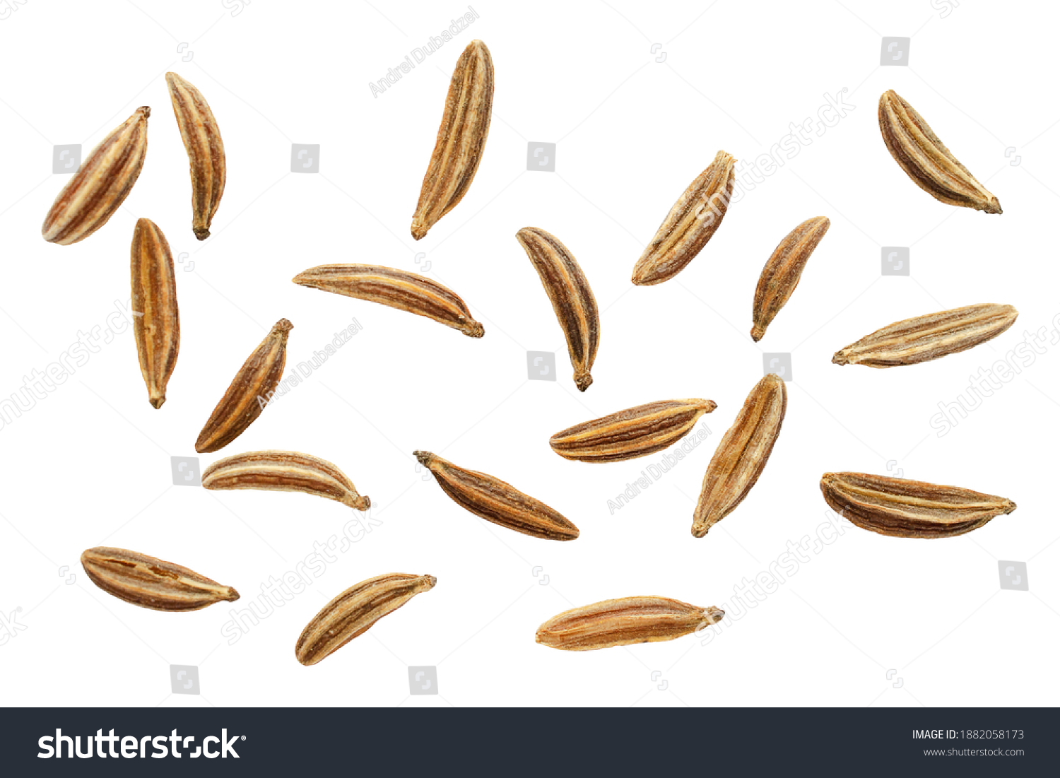 Macro caraway seeds. Macro dried of caraway seeds isolated on a white background, top view. Cumin seeds macro isolated on white background. Macro of cumin seeds isolated on white background, top view. #1882058173