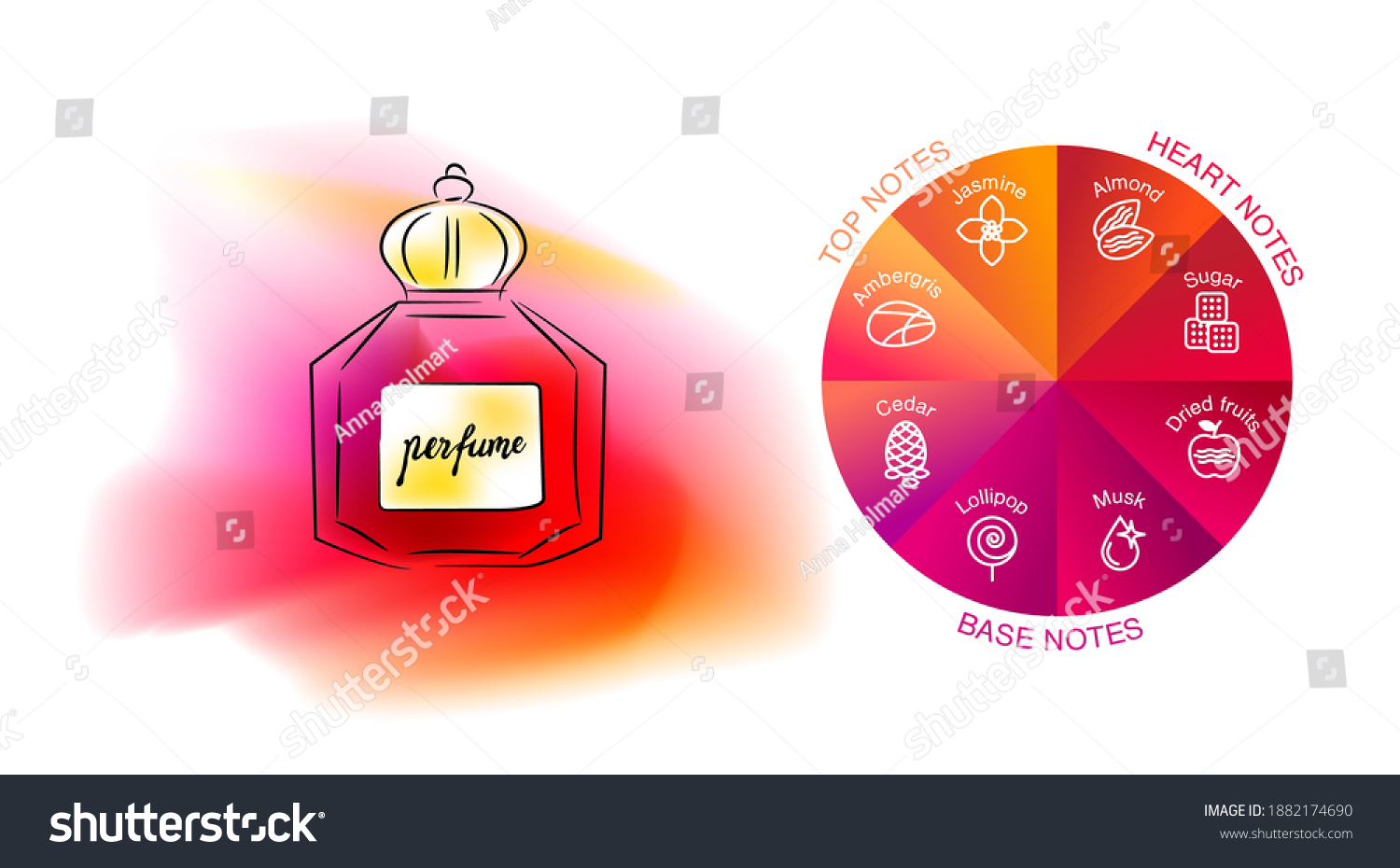 Aromatic structure notes guide for perfume, scent and aroma infographic. Top, heart, middle and base notes pyramid chart with examples of popular aroma essences. Fragrance icons. #1882174690
