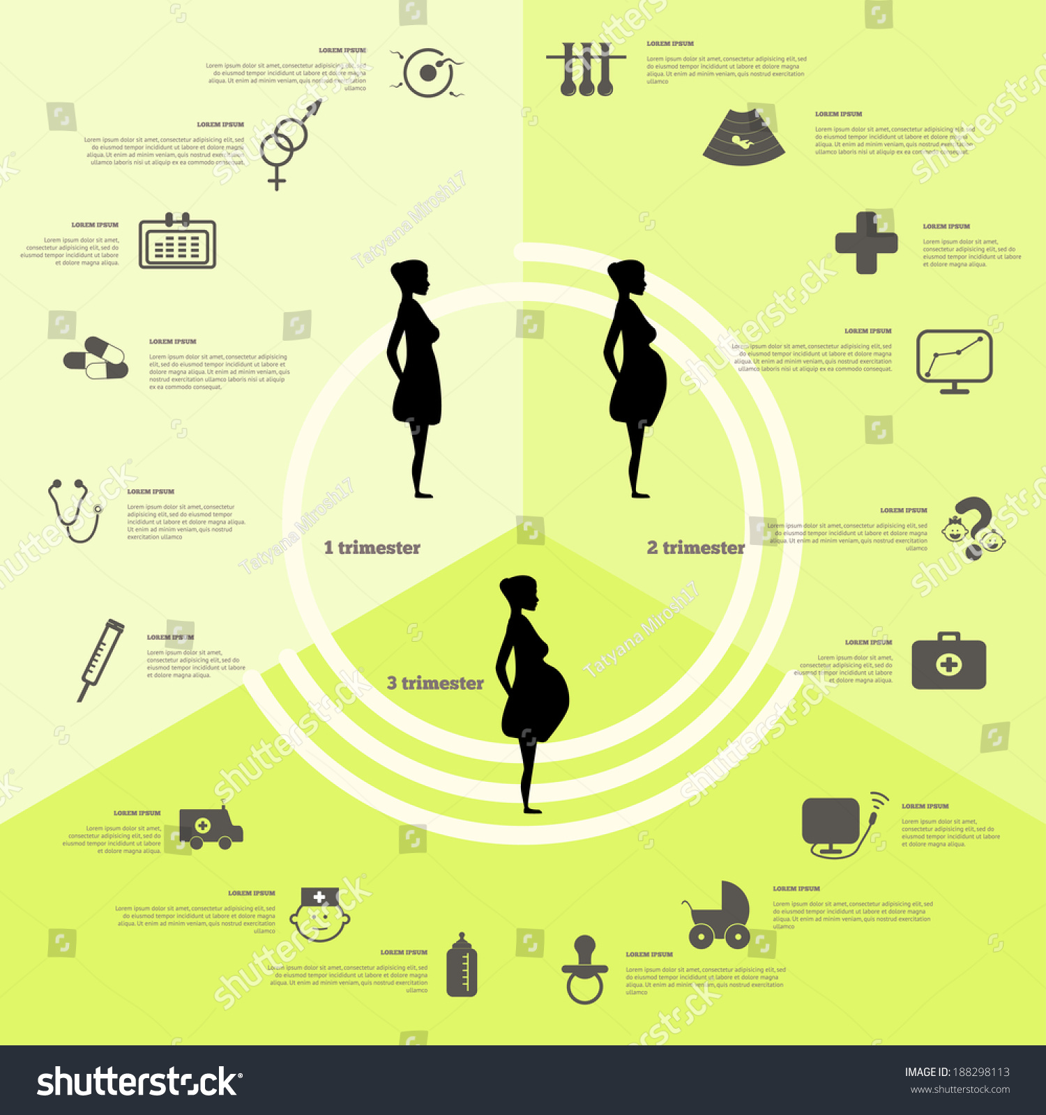 Pregnancy And Birth Infographics And Pregnancy Royalty Free Stock