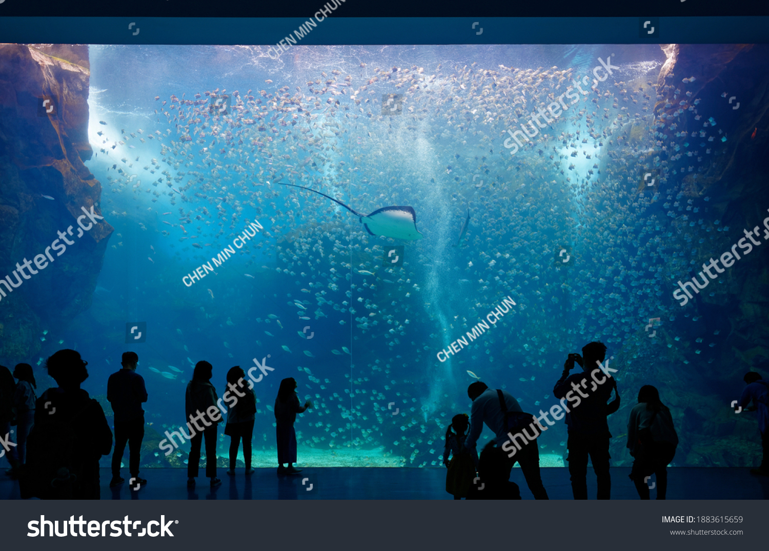People gazing through the giant glass panel of Xpark Aquarium, Taoyuan, Taiwan, and mesmerized by the scene of a stingray swimming among a shoal of silver moony fish in the mysterious underwater world #1883615659