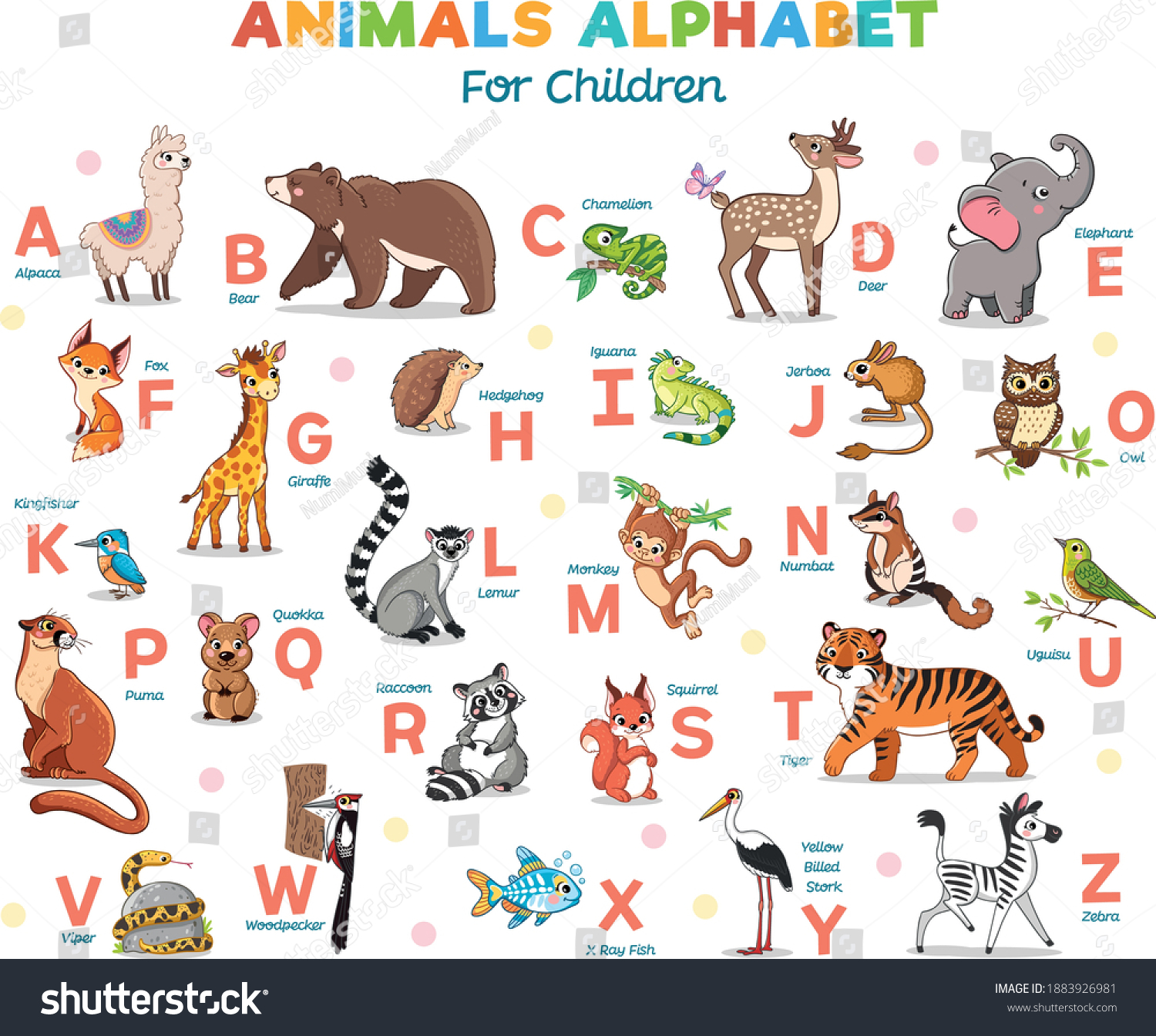 Cartoon animals alphabet for kids. Learn letters - Royalty Free Stock ...