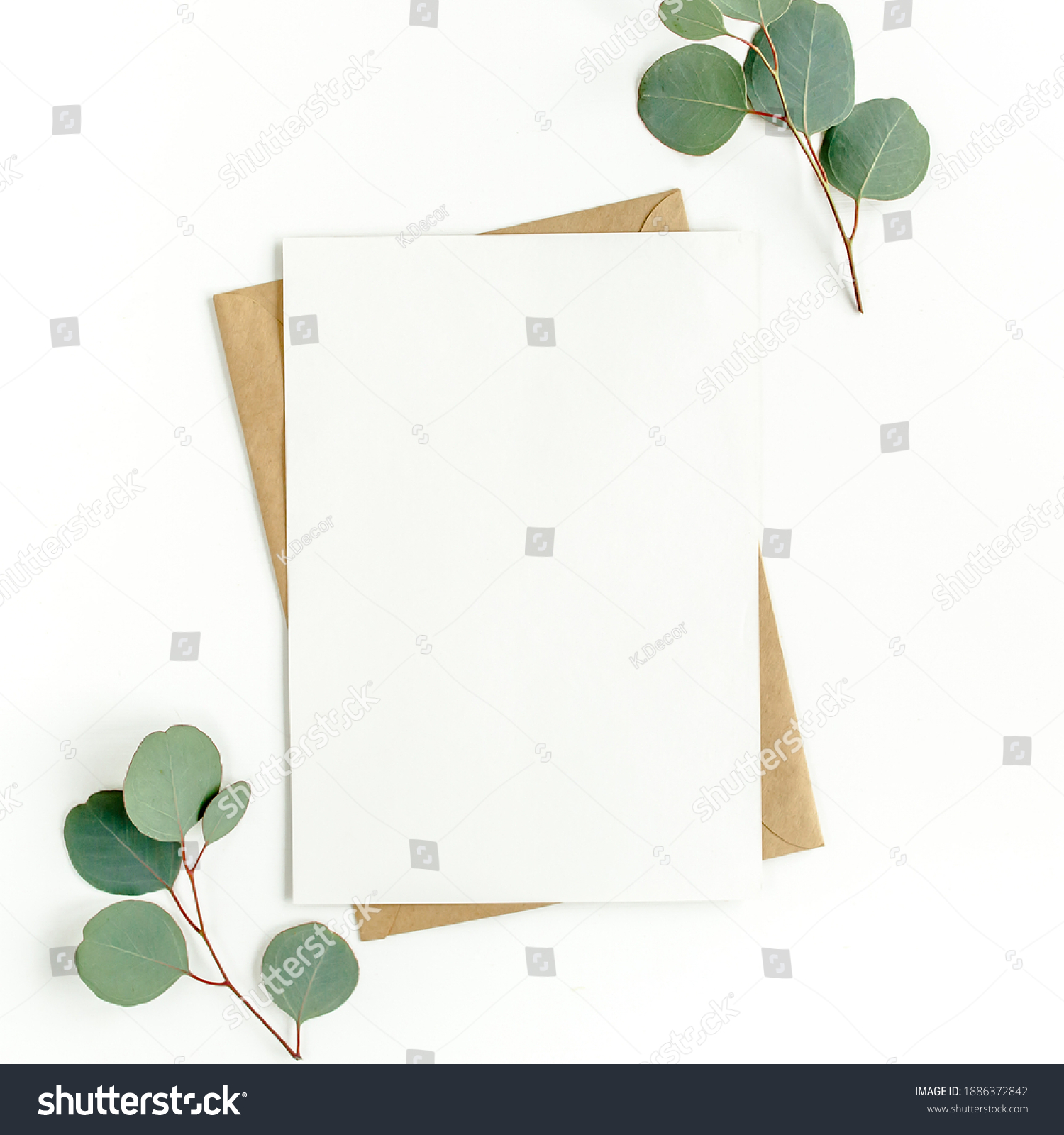 Mockup invitation, blank greeting card and green leaves eucalyptus. Flat lay, top view. #1886372842