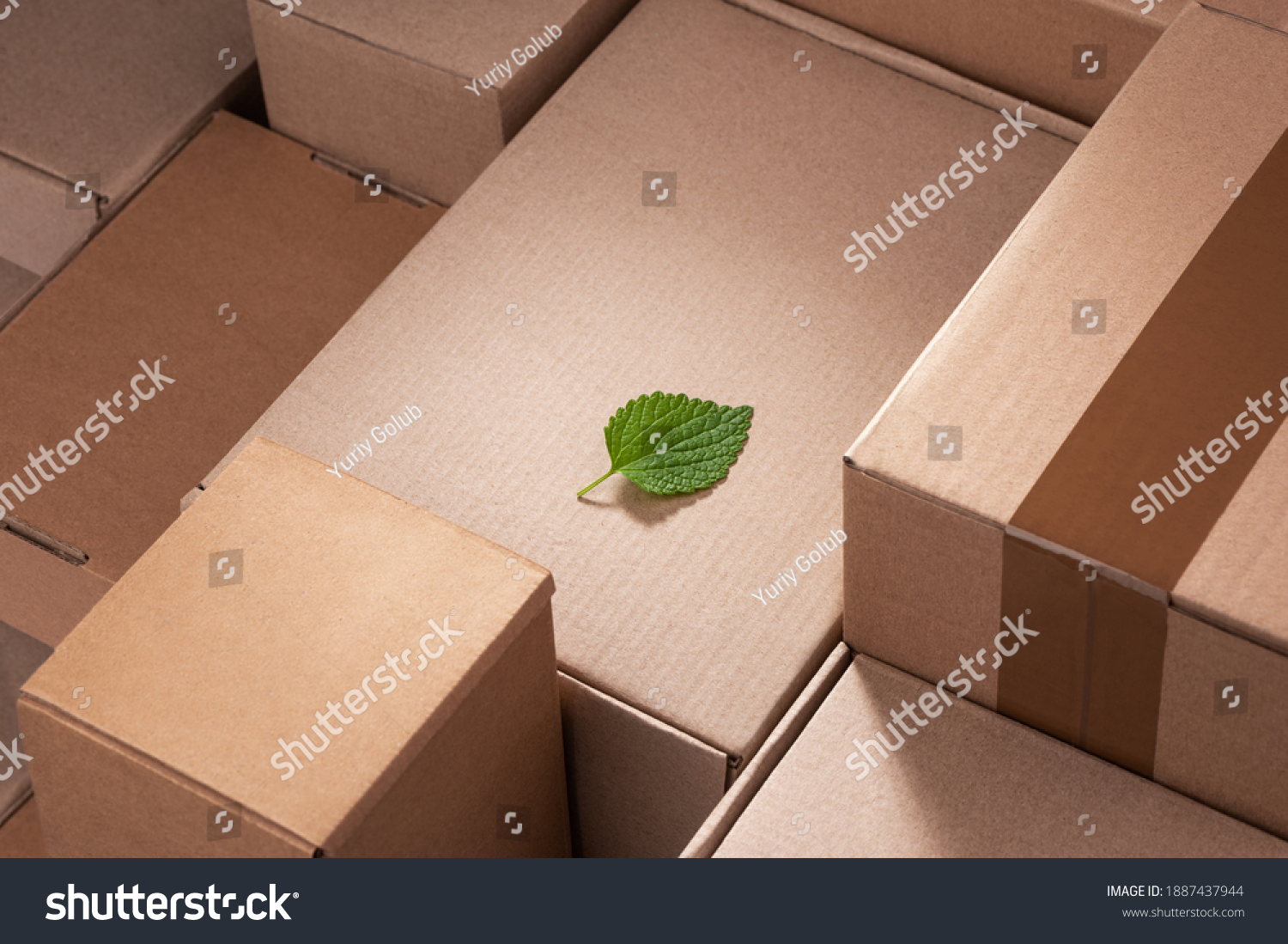 Fresh green leaf laying between cardboard boxes. Shipping deliveries, global trade and environmental impact. #1887437944