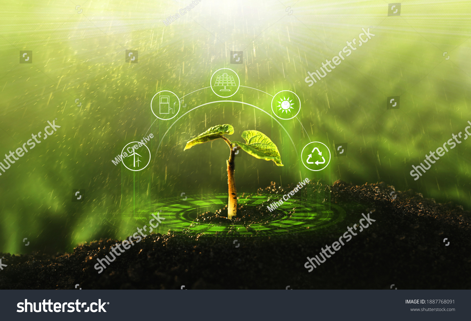 Young  plant growing at sunlight. Environment and ecology concept. Sources for renewable, sustainable development. #1887768091