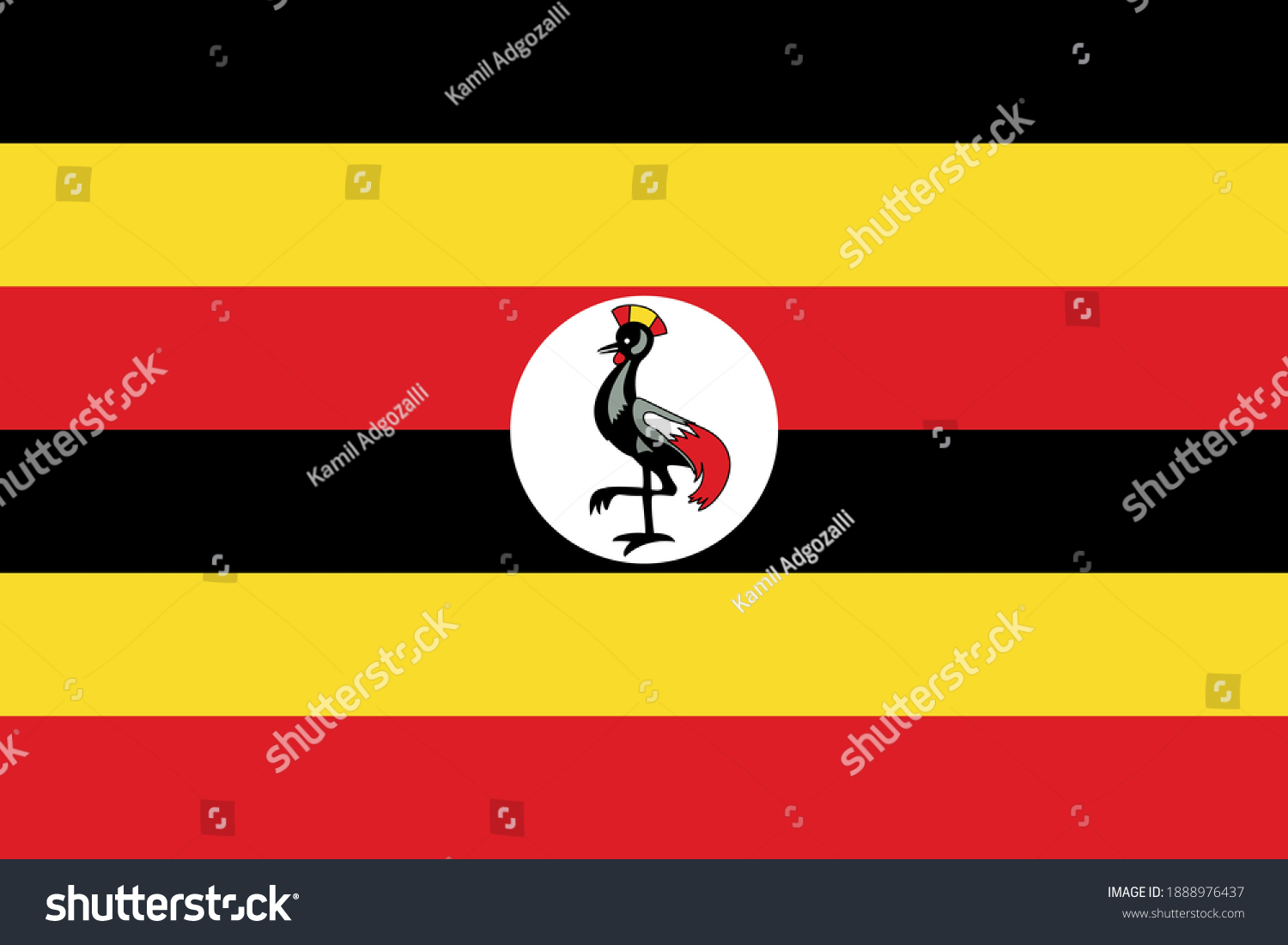 Vector image of the Ugandan flag - Royalty Free Stock Vector 1888976437 ...