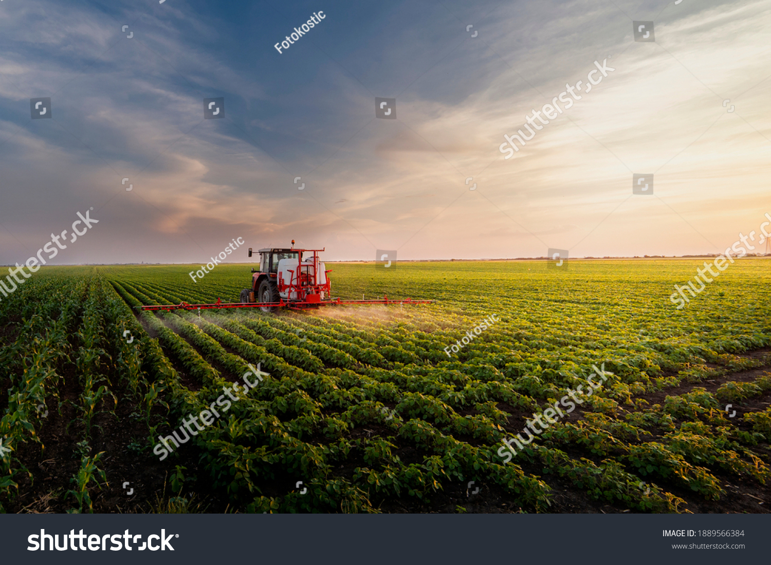 Tractor spraying pesticides on soy field  with sprayer at spring #1889566384