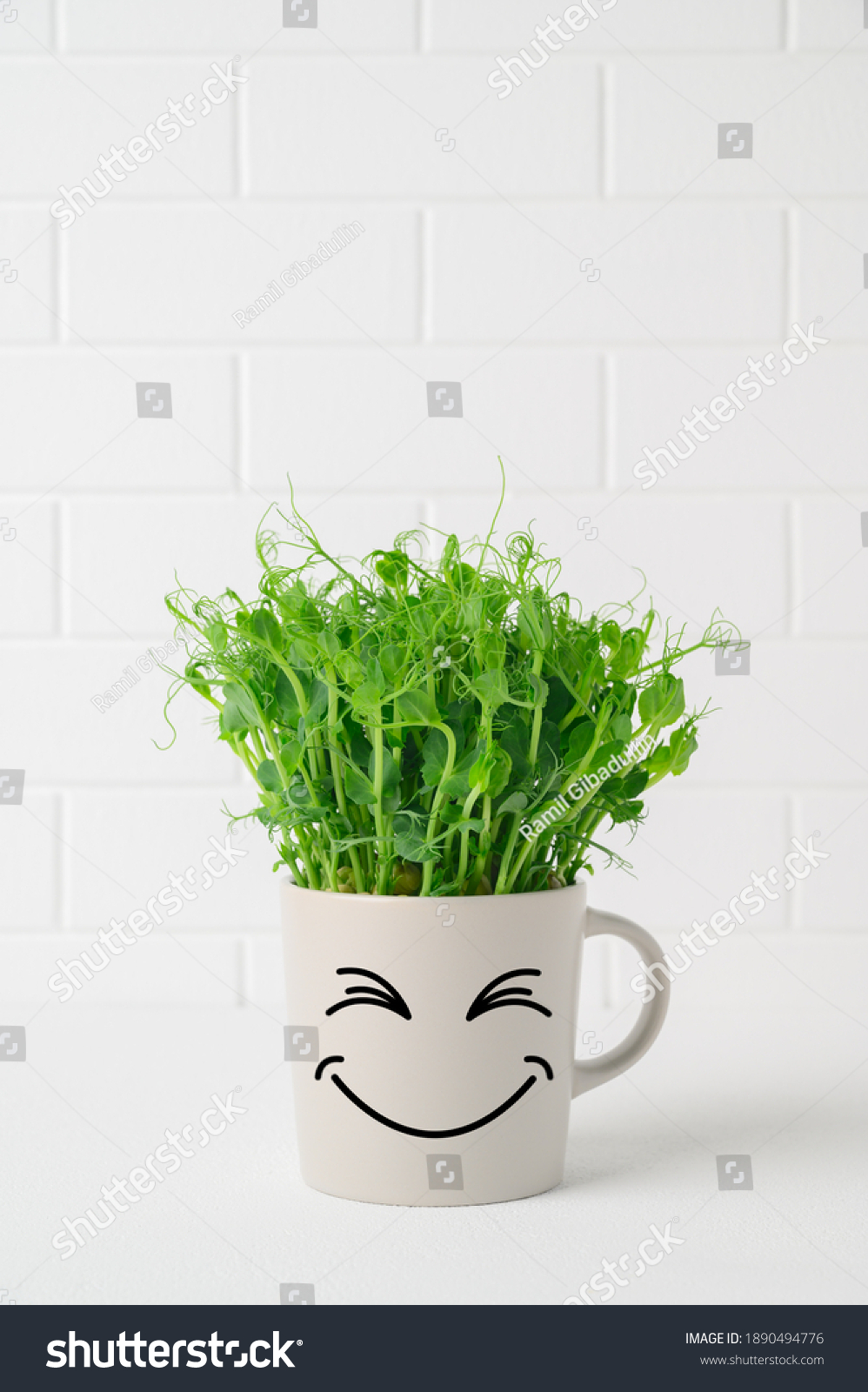 Gray mug with funny face in which grows pea microgreens on background white brick wall. Funny flower pot with a smiley face stands on table. Springtime home gardening concept. Copy space #1890494776