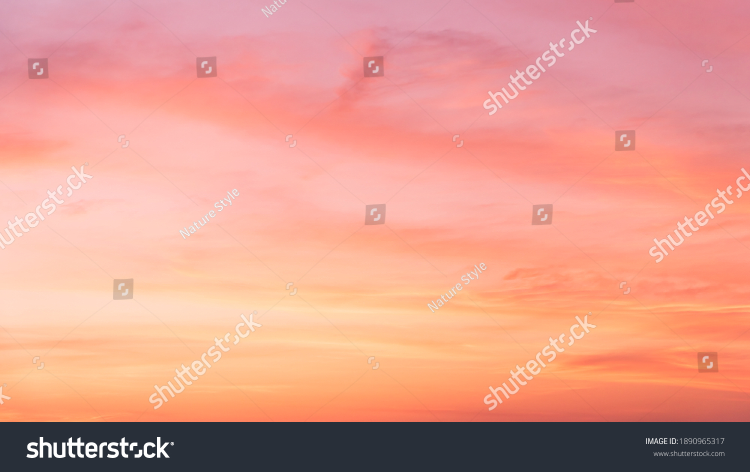 Evening Sky,Pink sky background with Romantic colorful sunlight with orange, yellow and dramatic nature background. #1890965317