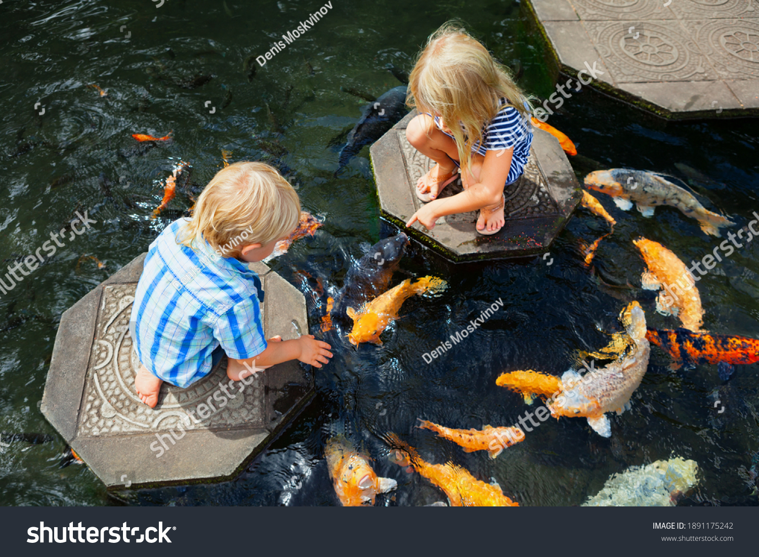 Happy kids walk with fun by pond stepping stones, feeding golden koi fishes in Tirta Gangga garden with natural water pools. Culture, arts of Bali, popular travel destination in Indonesia. #1891175242