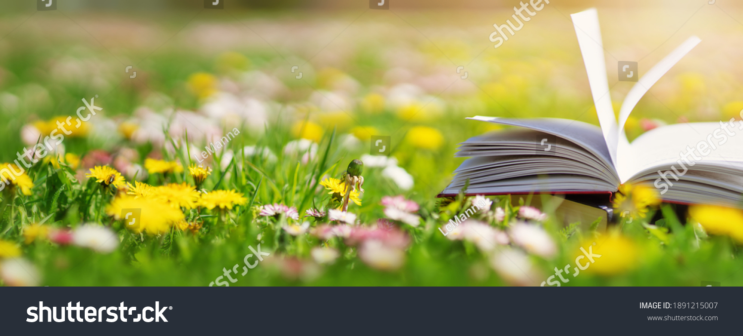Open book in the grass on the field on sunny day in spring. Beautiful meadow with daisy and dandelion flowers at springtime. Reading and knowledge concept #1891215007