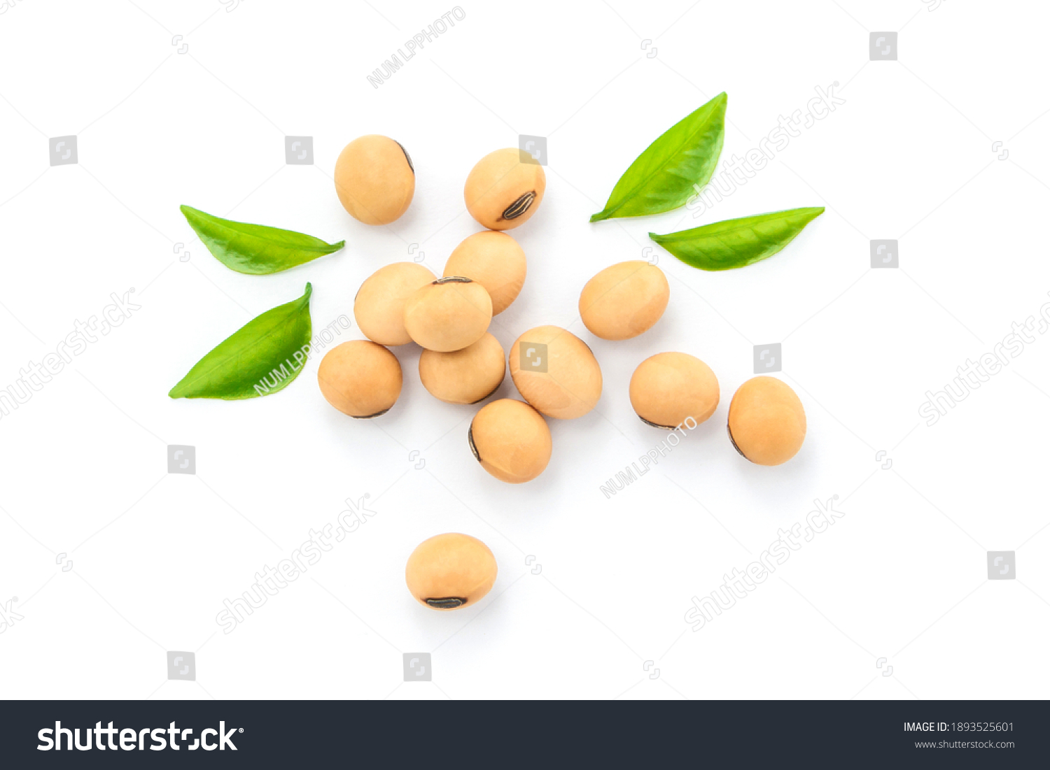 Soybean seeds with green leaf isolated on white background , top view , flat lay. #1893525601
