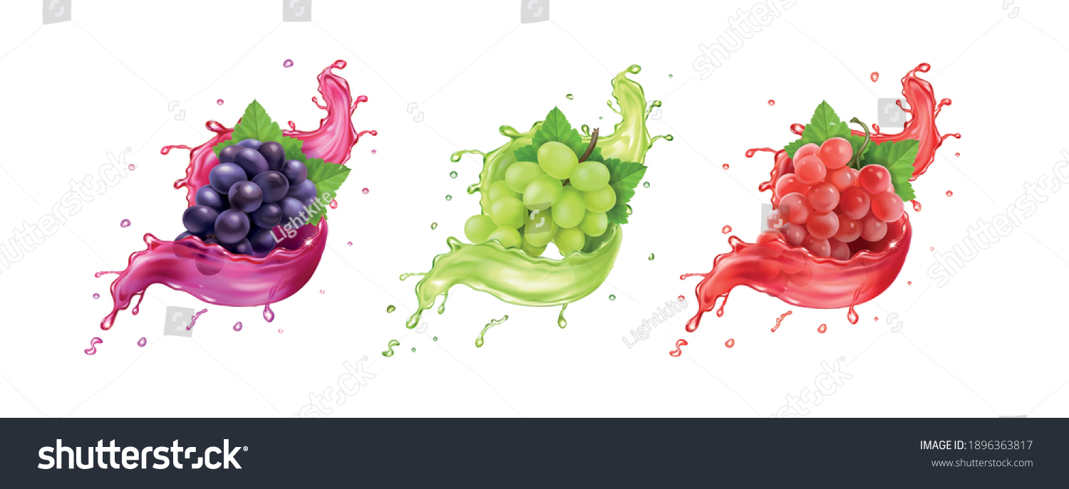 Red, white, rose and black wine grapes in juice splash. vector icons set. Grape varieties. #1896363817