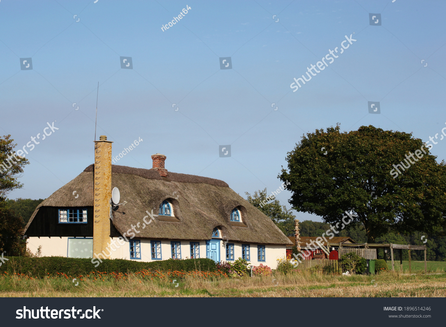 Traditional house in Denmark with thatched roof #1896514246
