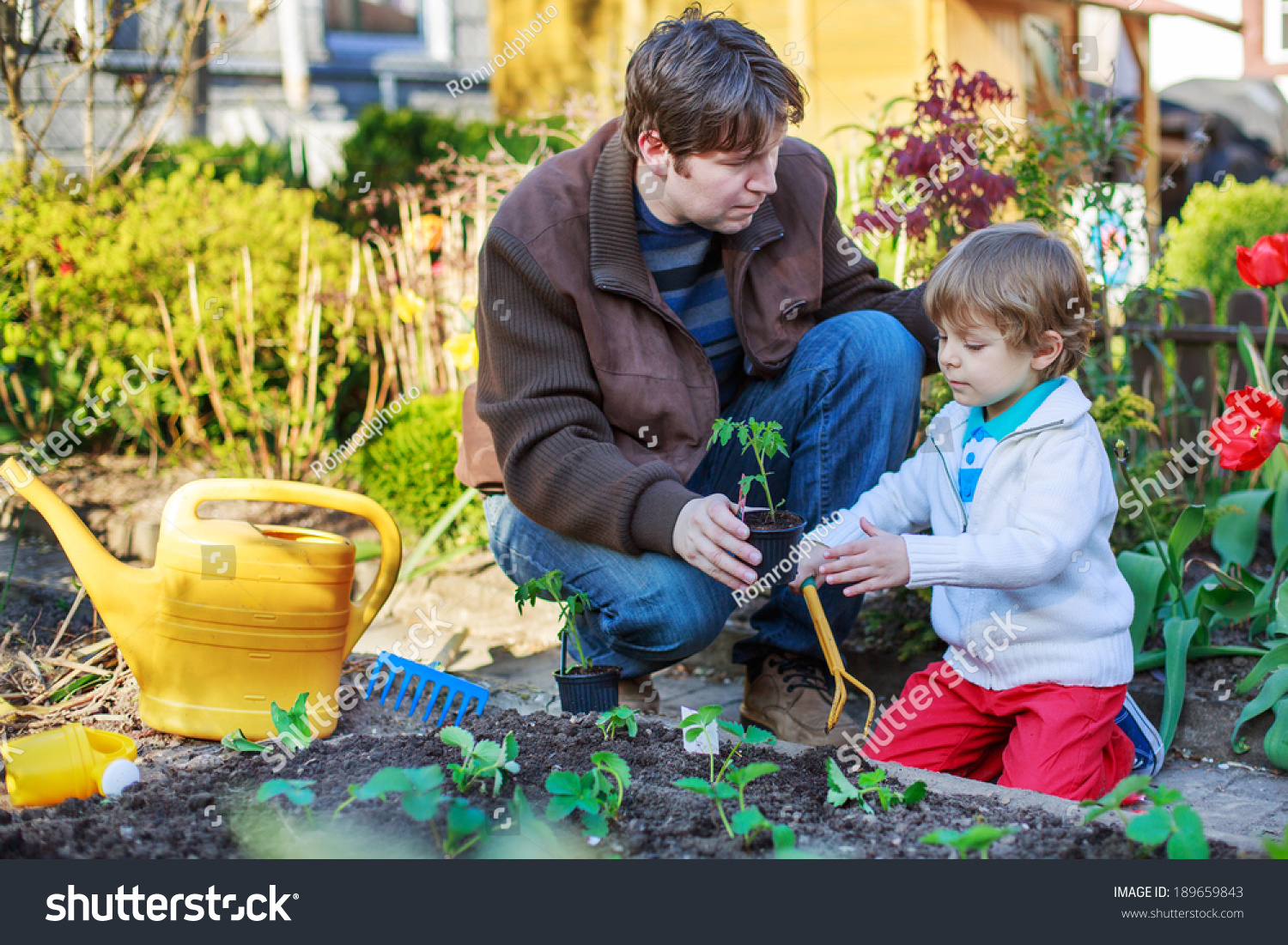 Young father and his little adorable son planting seeds and seedlings in vegetable garden, outdoors #189659843