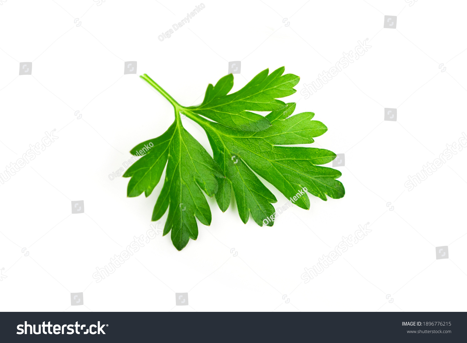 Fresh green vegan vitamin parsley isolated on white background #1896776215
