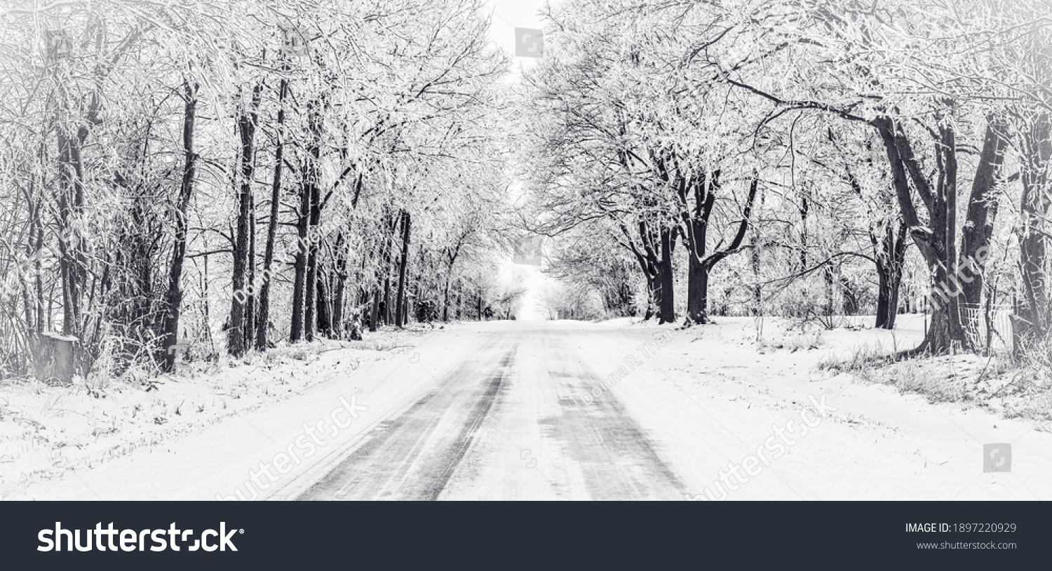 Black and white panorama of icy road with frost covered trees #1897220929
