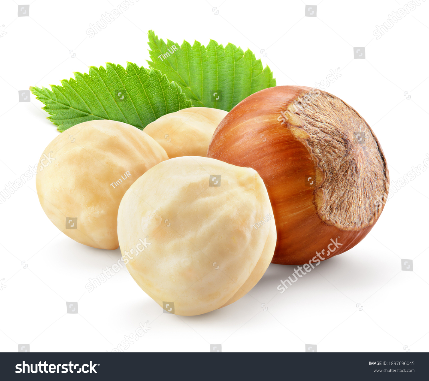 Hazelnut with leaf isolate. Hazelnut peeled and unpeeled with leaves on white. Forest nut. Filbert side view. Full depth of field. #1897696045