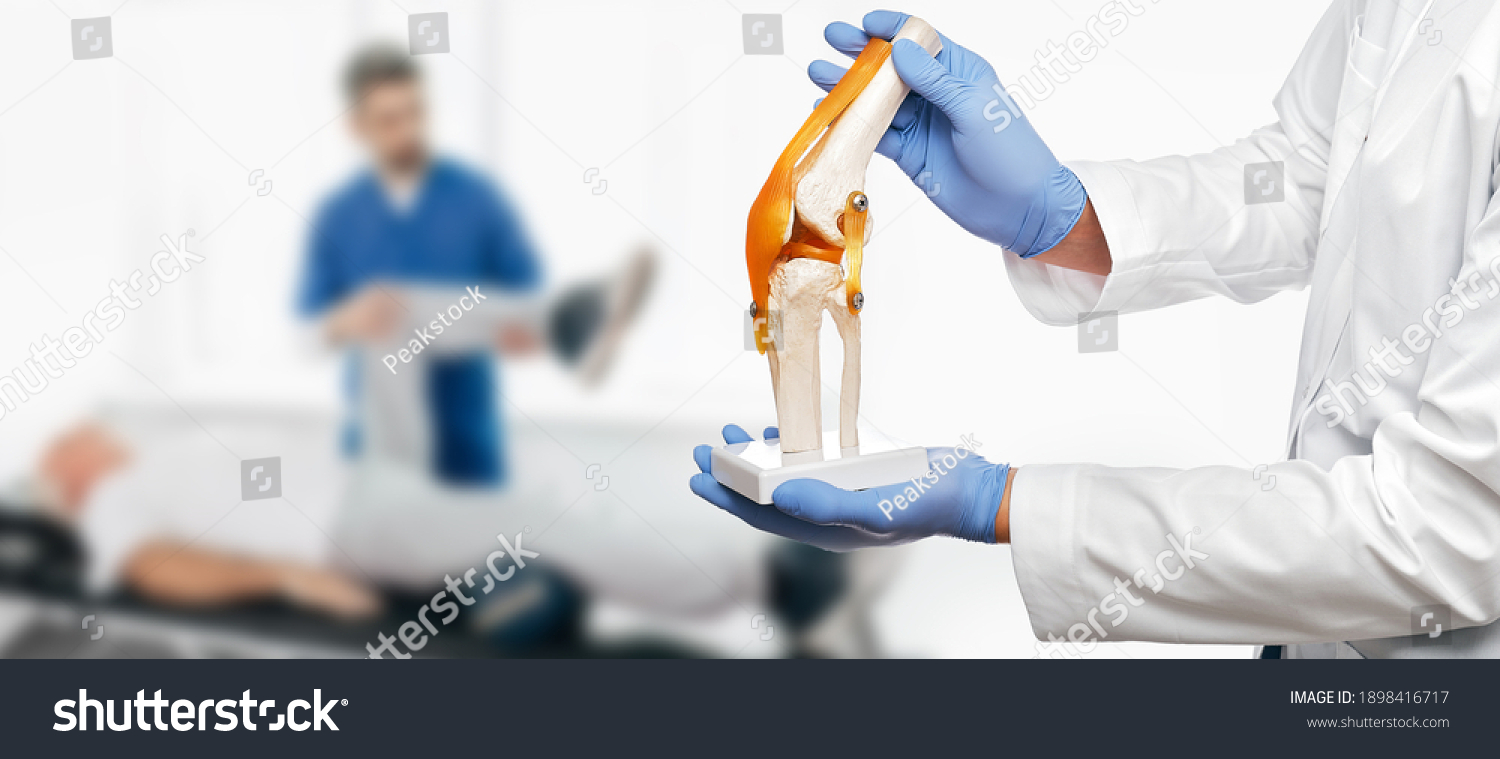 Physiotherapist holds an anatomical human knee-joint model in his hands, over background physiotherapy session for an elderly patient. Concept physio treatment and kinesiotherapy #1898416717