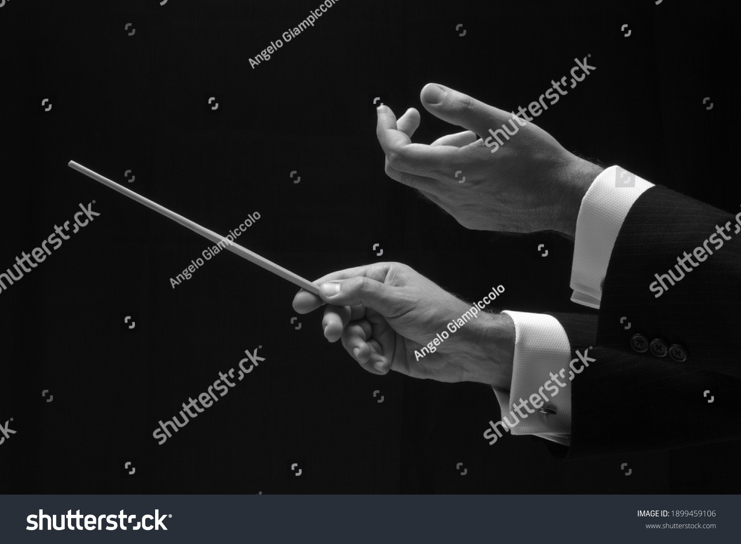 The hands of a music conductor #1899459106