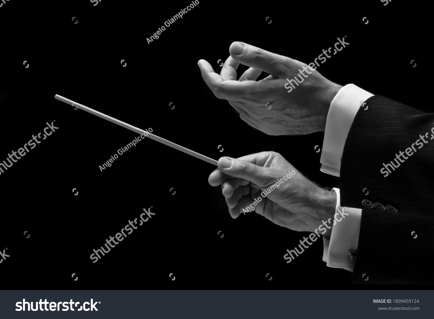 The hands of a music conductor #1899459124