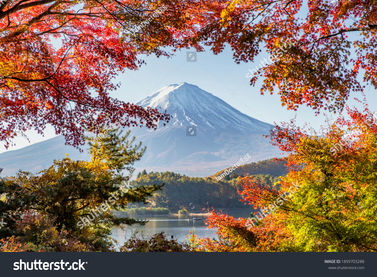 Fuji Mountain and Red Maple Leaves in Autumn at Kawaguchiko Lake, Japan #1899703288