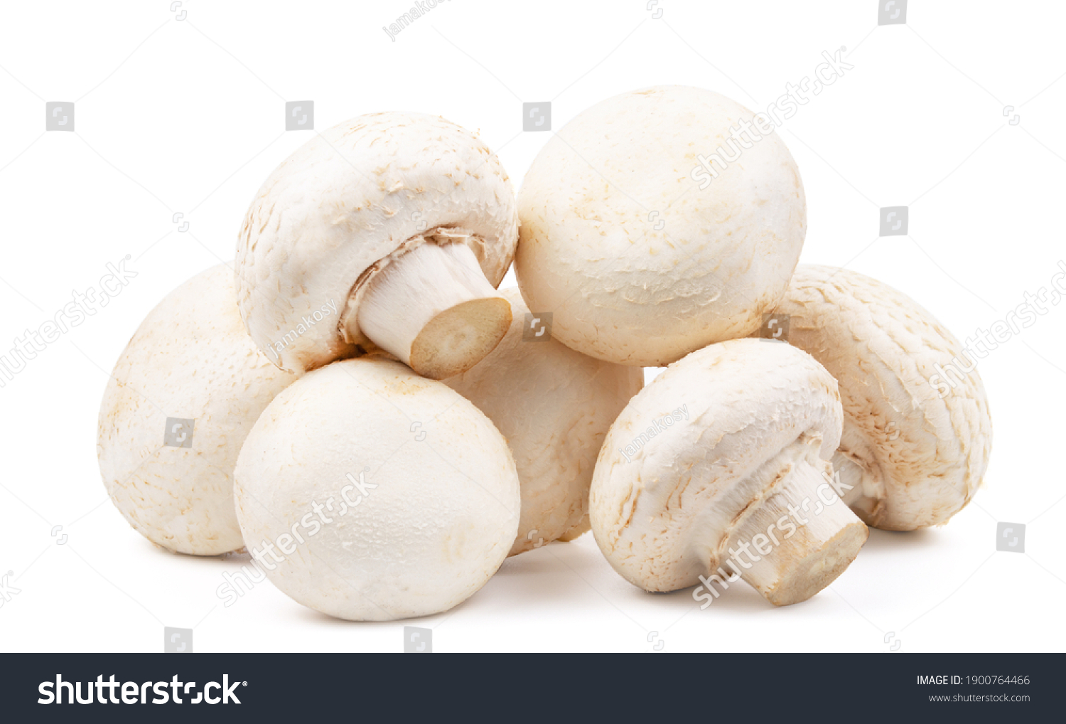 group of mushroom isolated on white background #1900764466