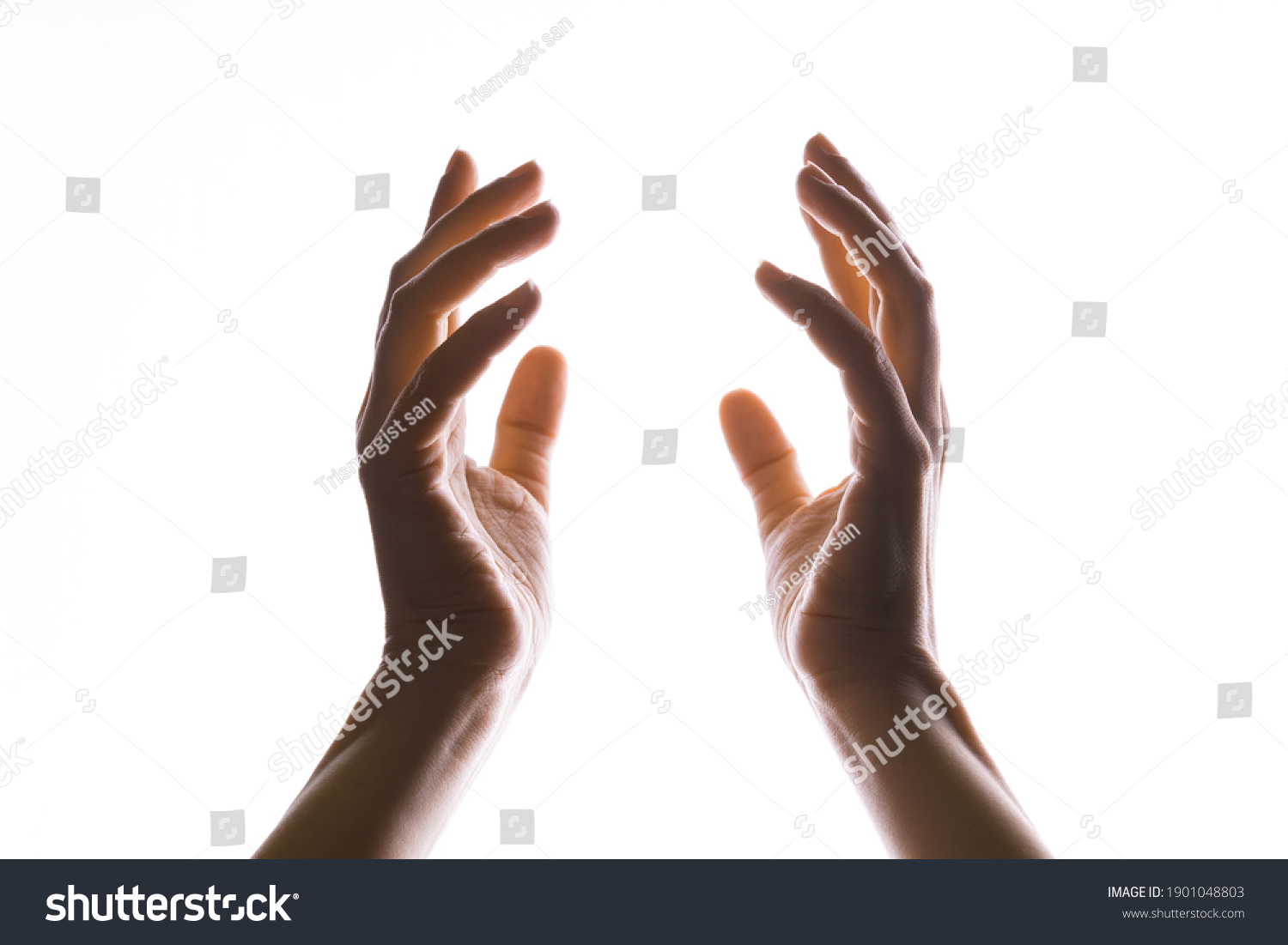 Hands make magic, or pray that the light falls from above on hand. Radiance between the palms. Gestures, isolated on white, contour lighting, contrast. #1901048803