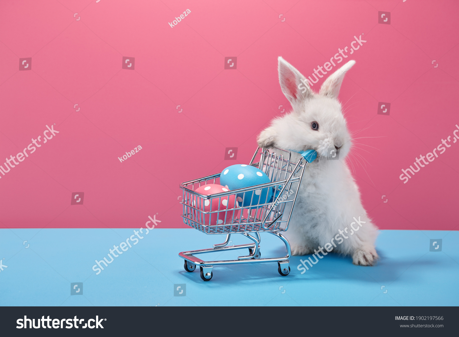 White Easter bunny rabbit with shopping basket and painted eggs on blue and pink background #1902197566