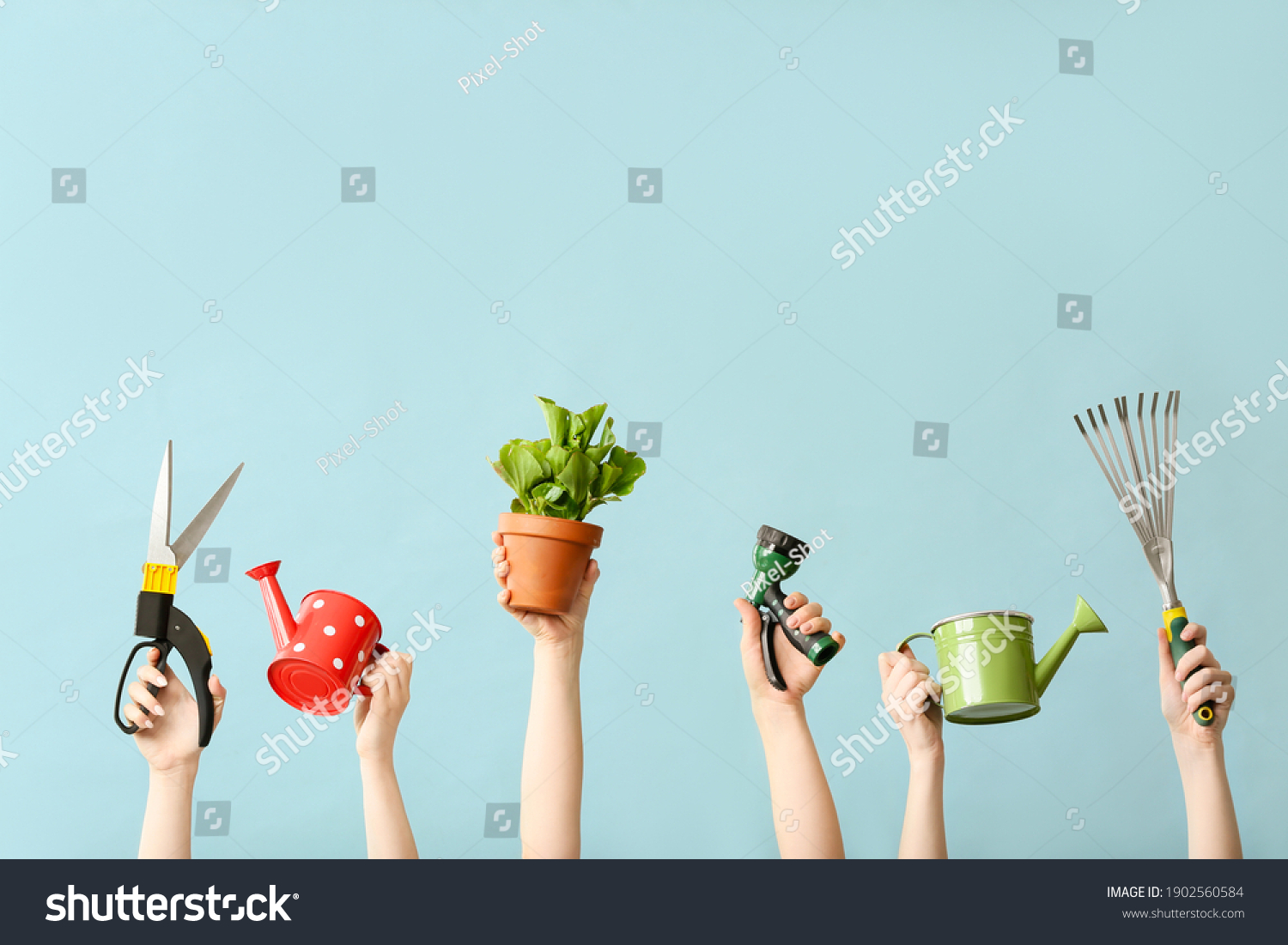 Female hands with gardening tools and houseplant on color background #1902560584