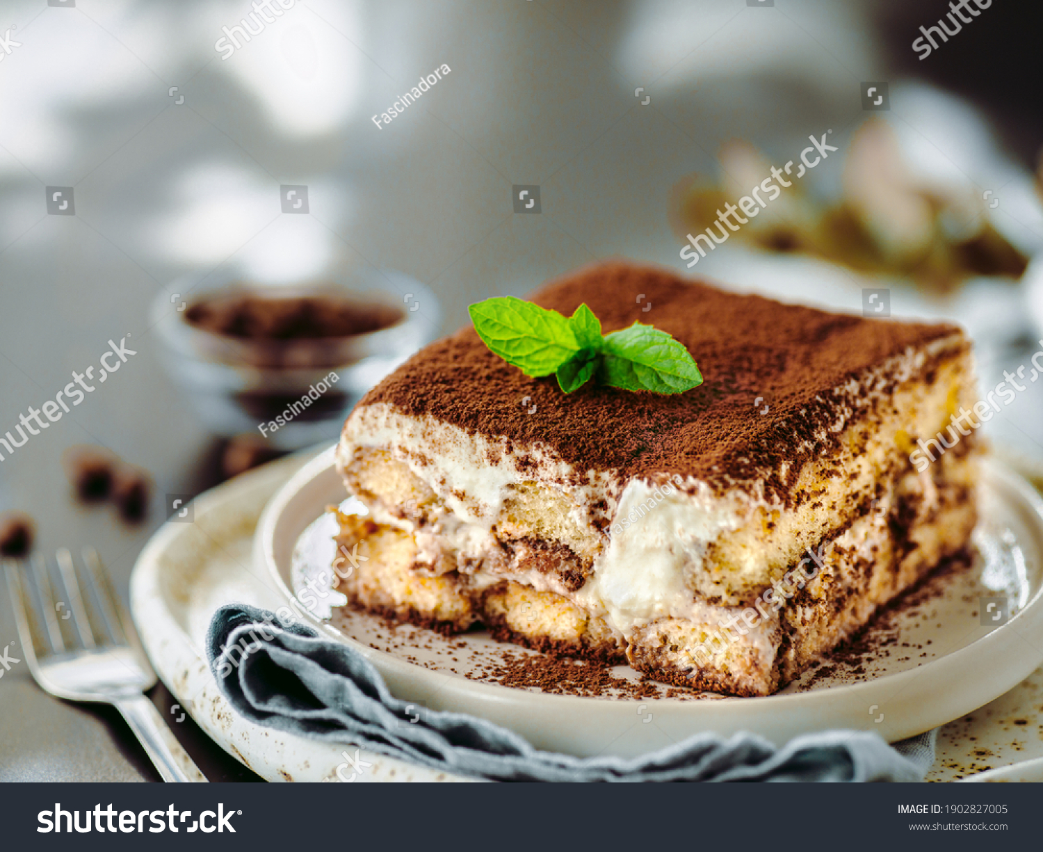 Perfect homemade tiramisu cake with fresh mint. Tiramisu portion on plate over gray background. Delicious no bake tiramisu ready-to-eat. Close up. Copy space #1902827005