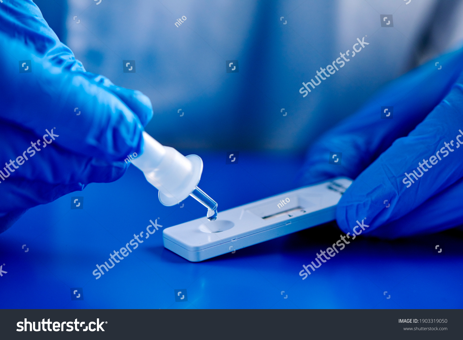 closeup of a man, wearing blue surgical gloves, placing the sample into the covid-19 antigen diagnostic test device, on a blue surface #1903319050