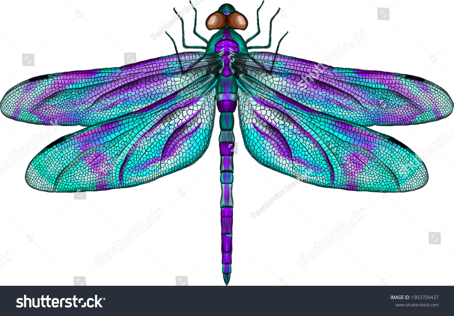 purple and blue dragonfly with delicate wings vector illustration #1903709437