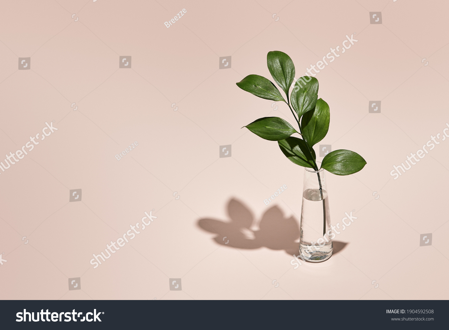 Green leaf and vase minimal summer or spring still life on pastel pink table. Sunlight, hard shadow. Floral, interior, nature concept #1904592508