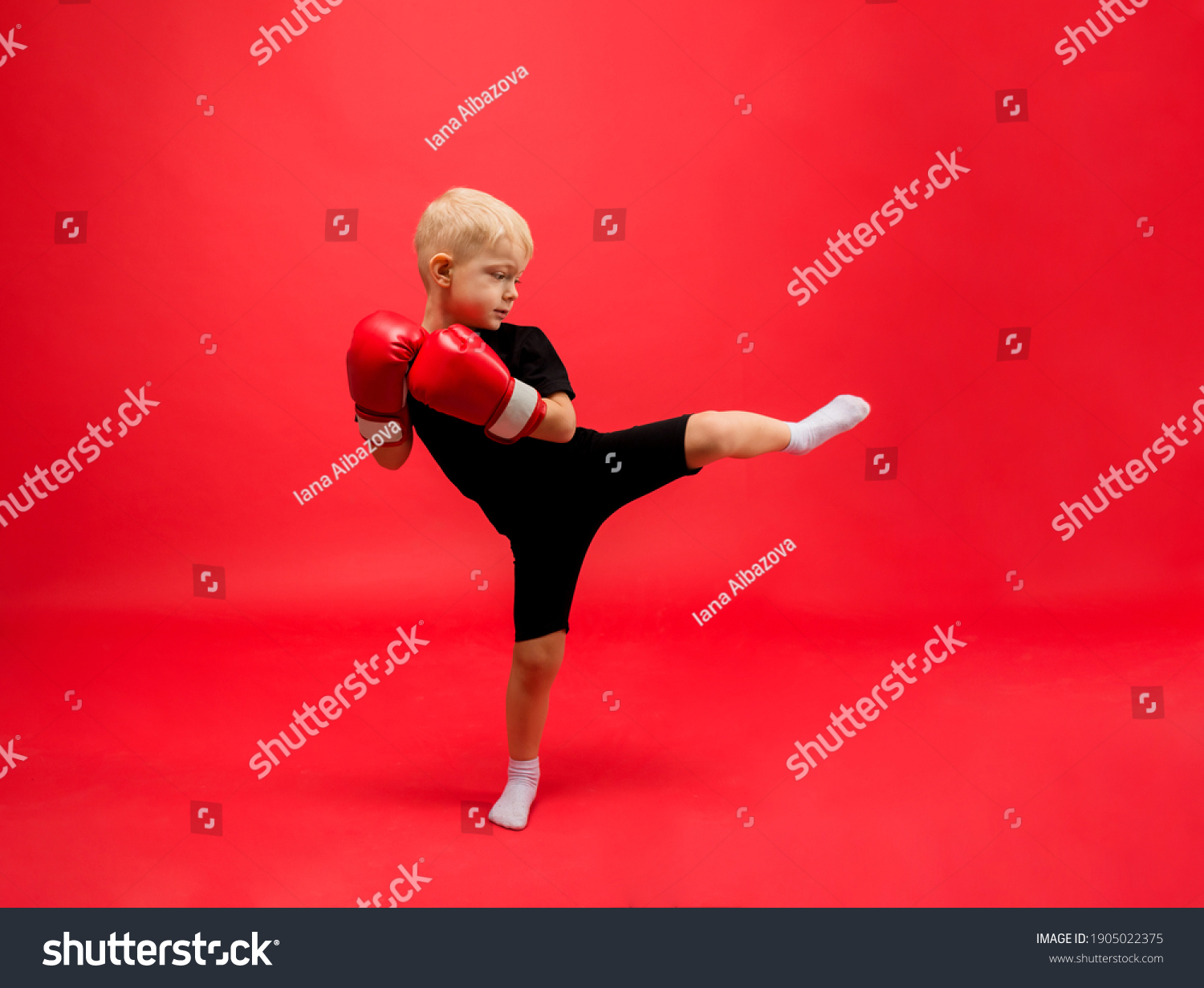 a little boy boxer stands sideways in red boxing gloves and makes a kick on a red background with space for text #1905022375