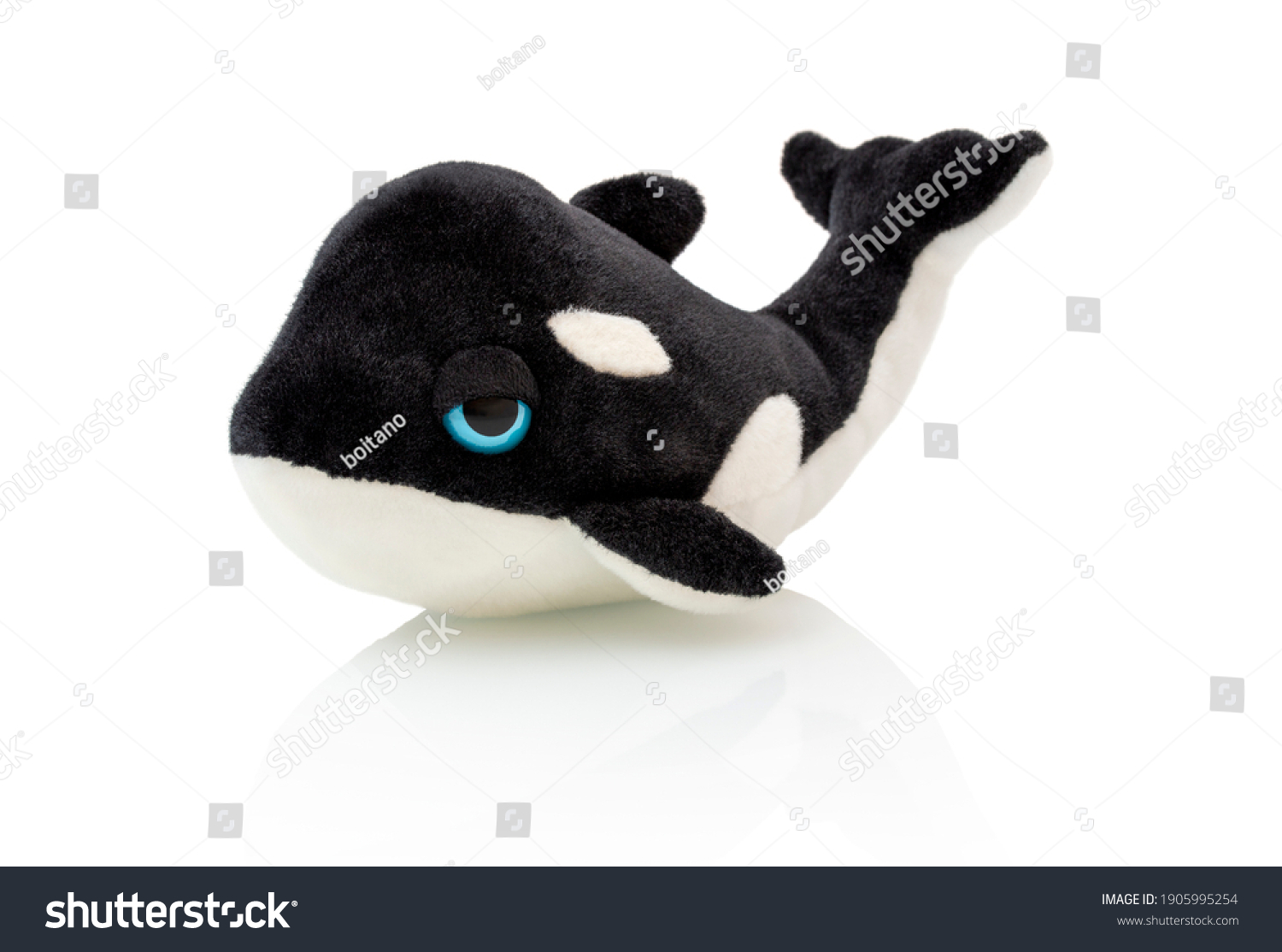 Killer whale plushie doll isolated on white background with shadow reflection. Plush stuffed orca  on white backdrop. Fluffy puppet toy for children. Cute furry plaything for kids. Black fish. #1905995254