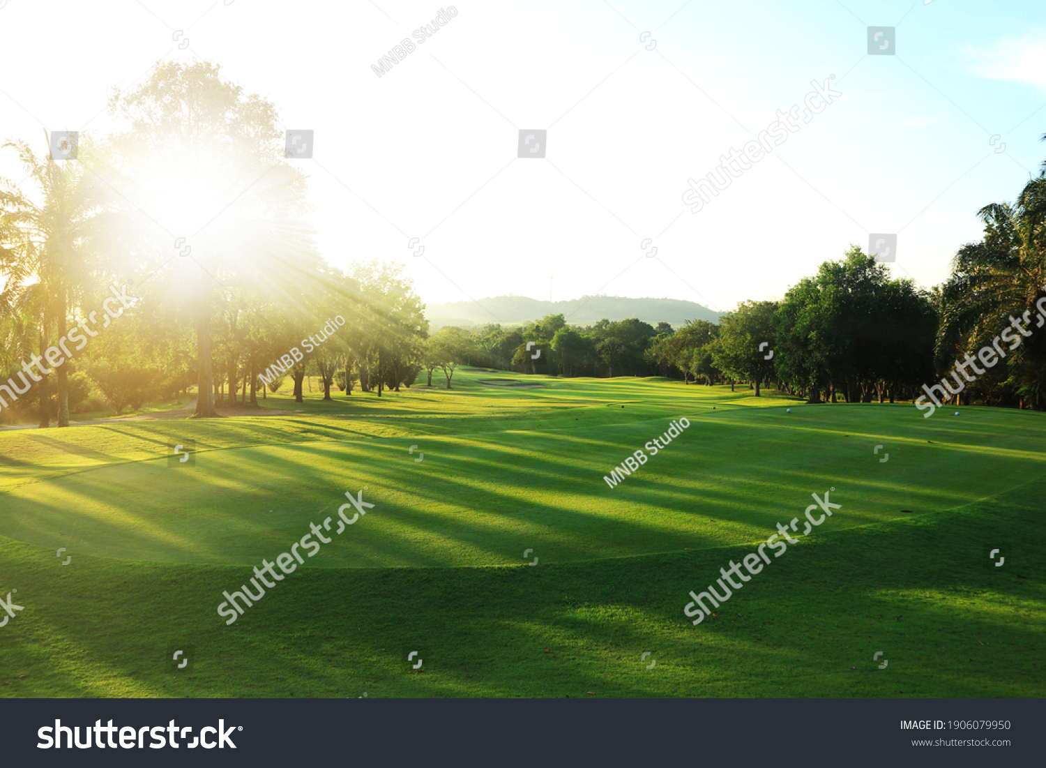 beautiful golf course at the sunset, sunrise time. , morning time #1906079950