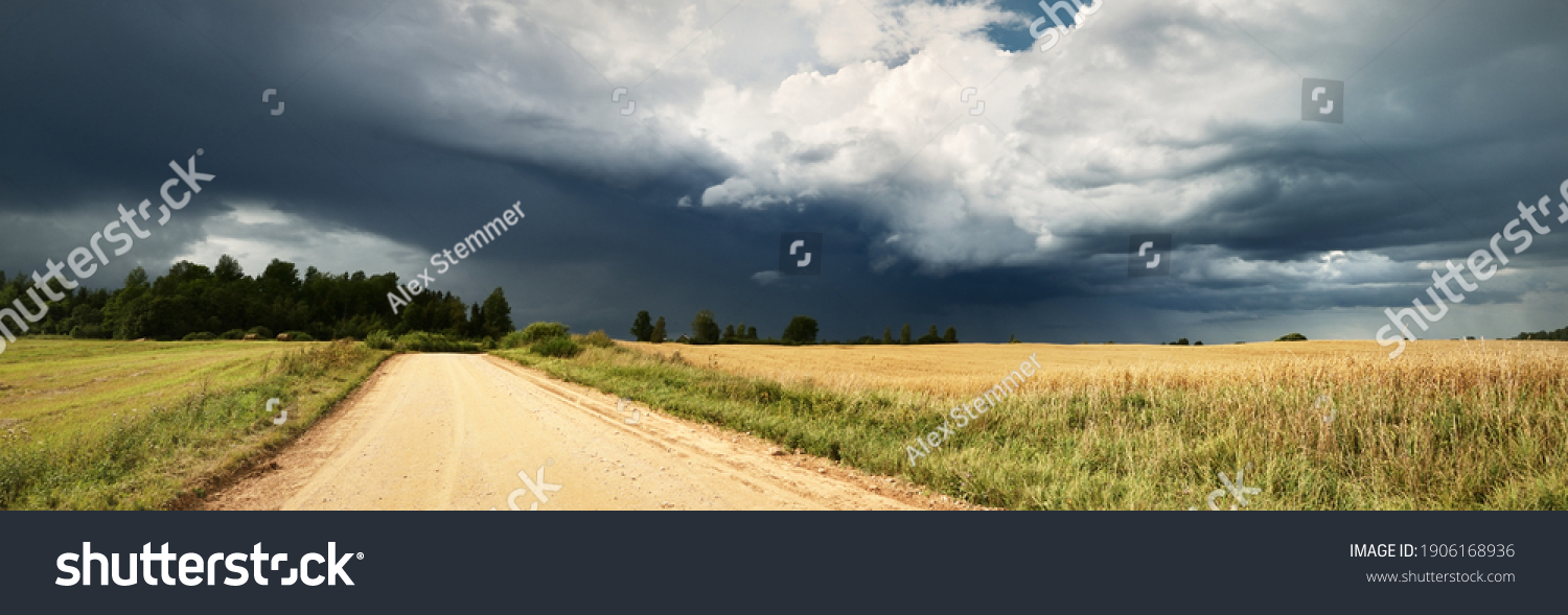 A dirt road through the agricultural field and forest under cumulus clouds after the rain, golden sunlight. Dramatic cloudscape. Idyllic rural landscape. Picturesque panoramic scenery #1906168936