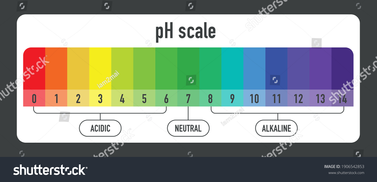 pH value scale chart for acid and alkaline - Royalty Free Stock Vector ...