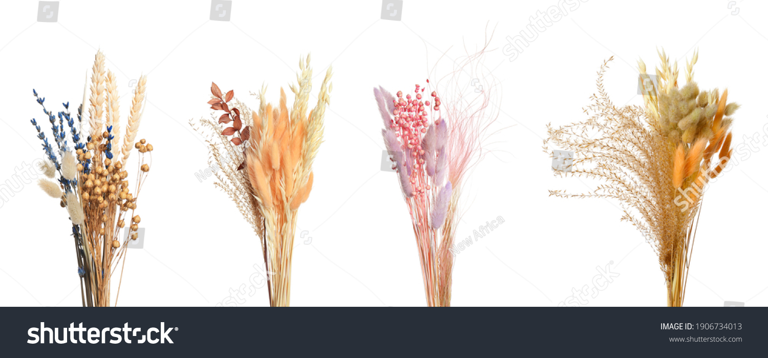 Set with beautiful decorative dry flowers on white background, banner design  #1906734013