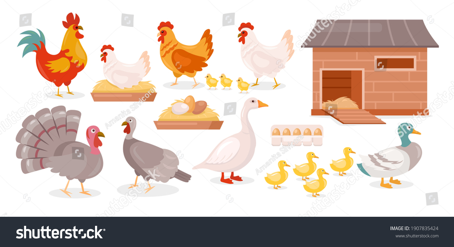 Chickens farm birds vector illustration set. Cartoon goose, duck, brown and white hen and rooster walking with baby chickens in barnyard, poultry in coop house or farmyard collection isolated on white #1907835424