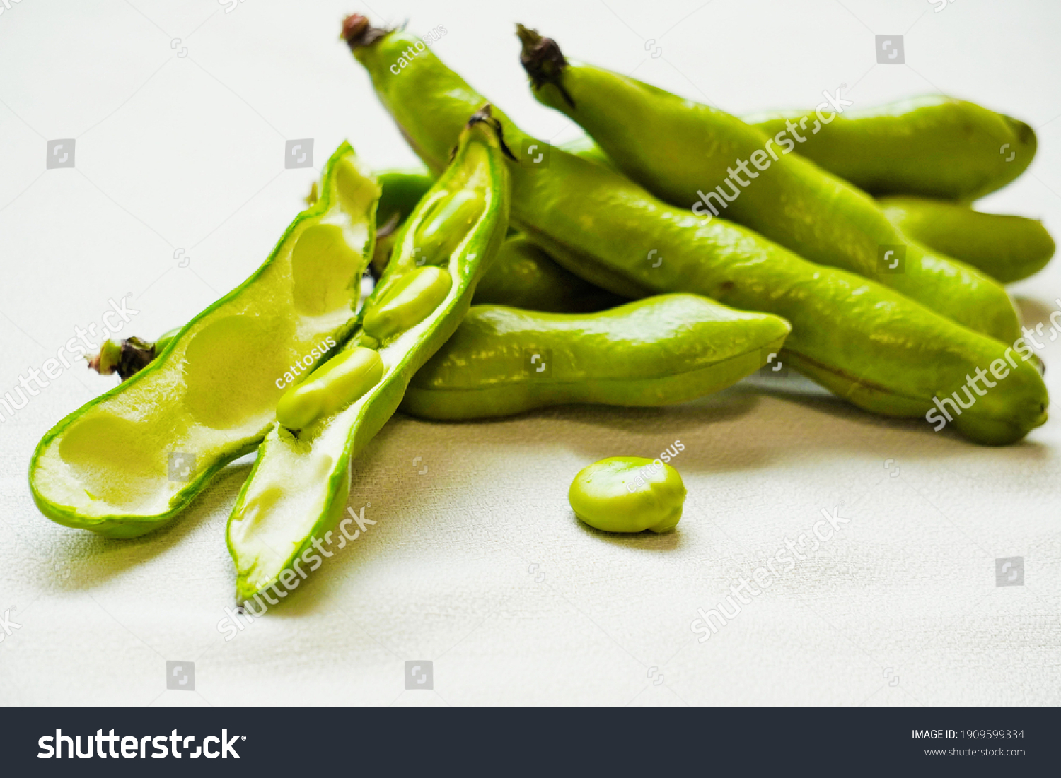 
Broad beans and pods from Japan #1909599334