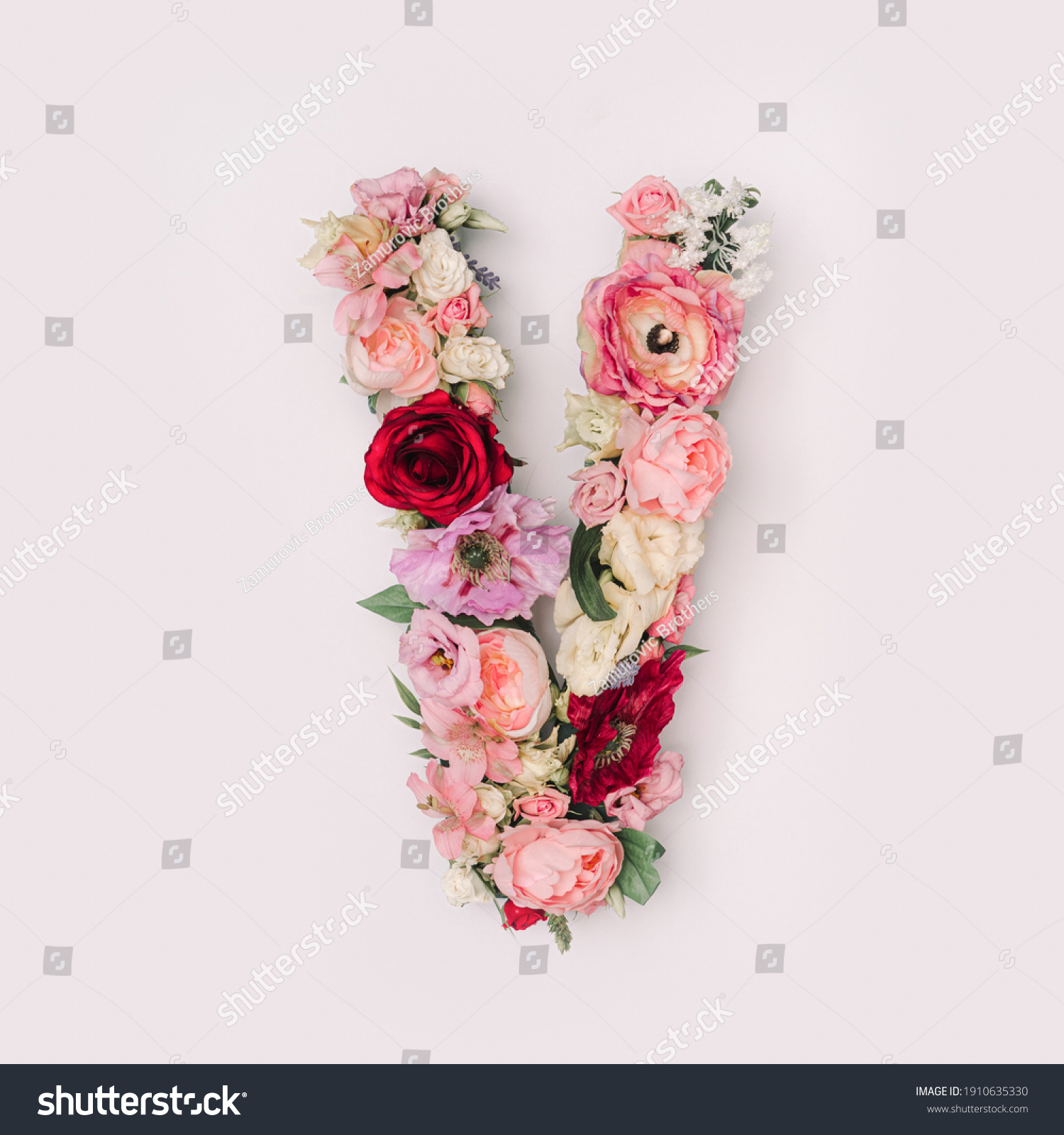 Letter V made of real natural flowers and leaves. Flower font concept. Unique collection of letters and numbers. Spring, summer and valentines creative idea. #1910635330