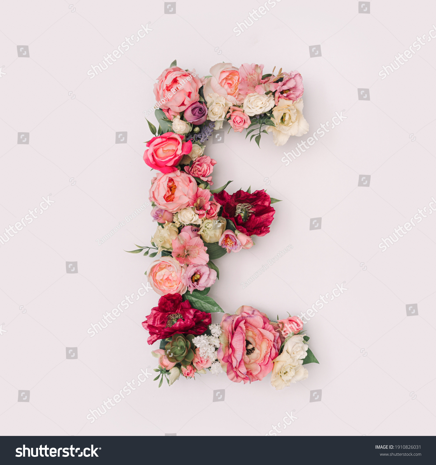 Letter E made of real natural flowers and leaves. Flower font concept. Unique collection of letters and numbers. Spring, summer and valentines creative idea. #1910826031