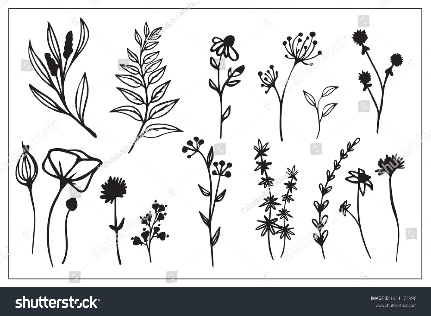 set of line drawings of herbs, leaves, flowers - Royalty Free Stock ...