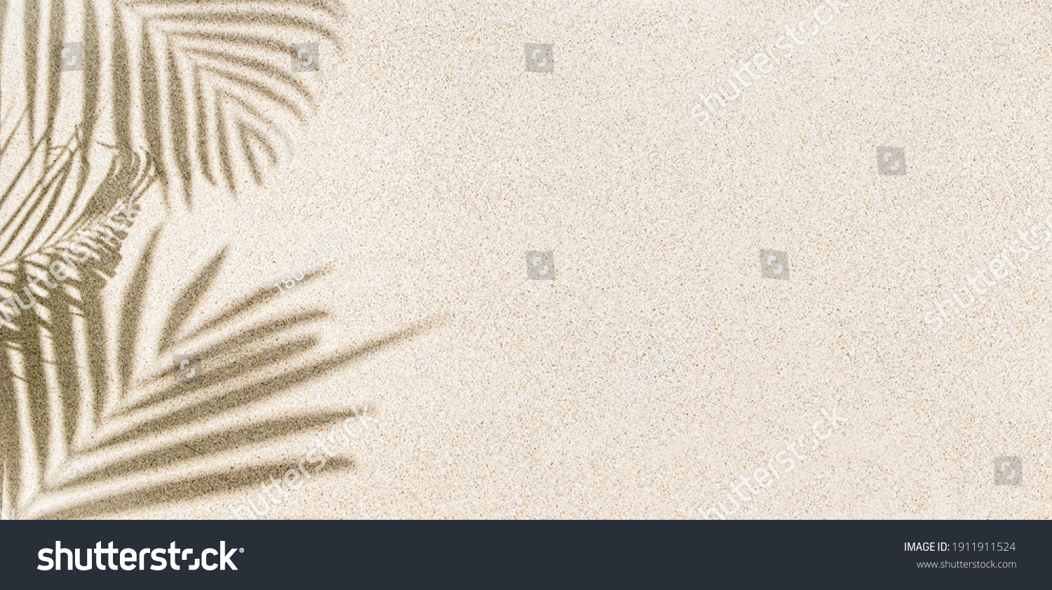 Banner of Palm leaf shadow on sand, top view, copy space  #1911911524