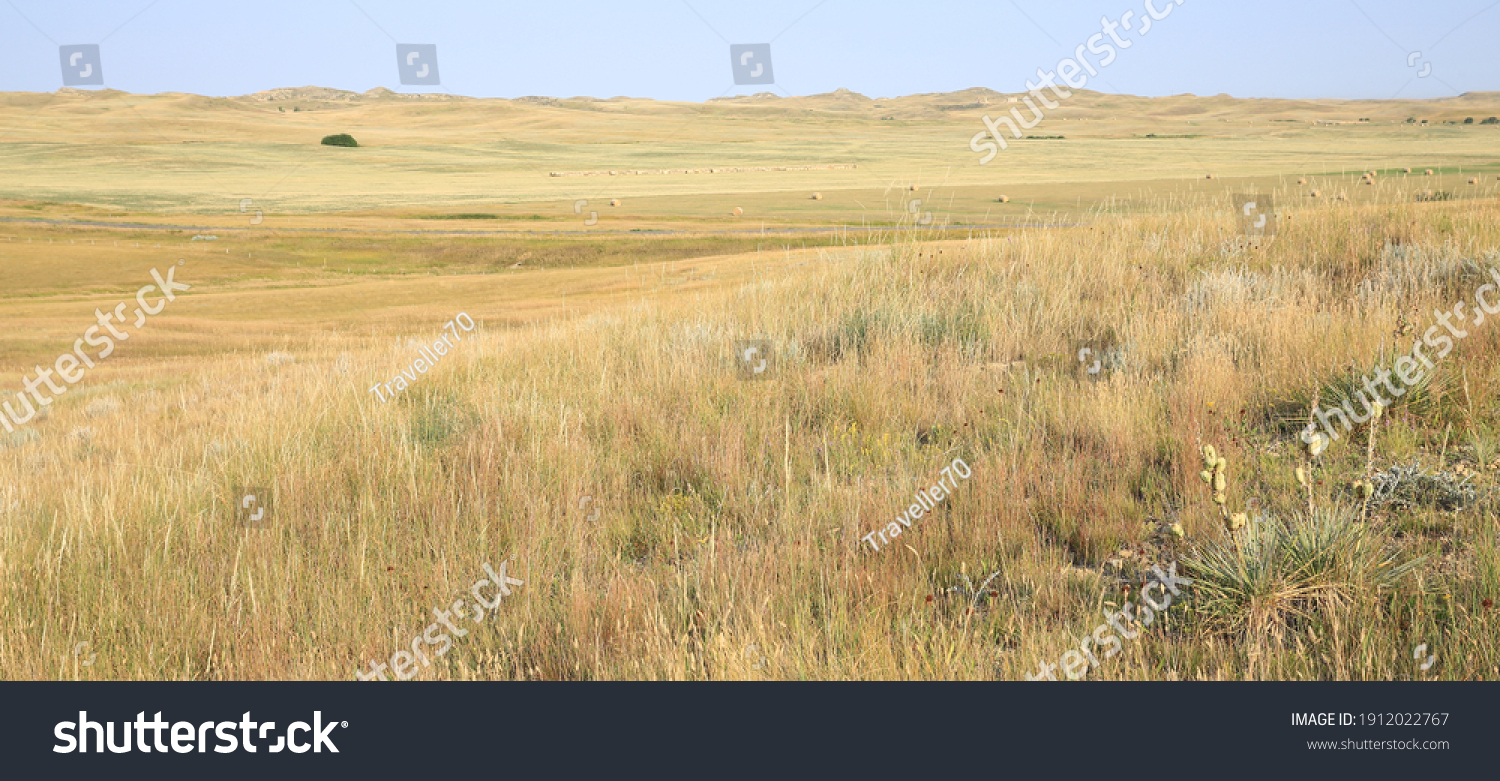 Little Missouri National Grassland in North Dakota, USA #1912022767